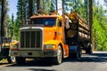 June 26, 2019 Mather / CA / USA - Truck transporting logs near Hetch Hetchy Valley, Yosemite National Park, Sierra Nevada