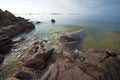 June morning in the Gangut Peninsula. Hanko, Finland Royalty Free Stock Photo