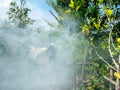 Man Sprays White Smoke to Repel Mosquito Bites