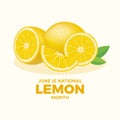 June is National Lemon Month vector illustration Royalty Free Stock Photo
