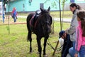 June, 2017, Odoev Russia: Folk Festival `Grandfather Filimon`s Tales` - black horse for horseback riding