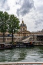 19 June 2019 - PARIS, FRANCE: The idyllic Seine river under cloudy summer sky