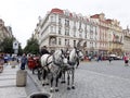 Horse carriage, waiting for tourists in Prague.