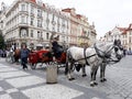 Horse carriage, waiting for tourists in Prague.