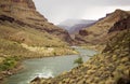 June Rains in the Desert Royalty Free Stock Photo