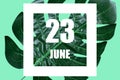 june 23rd. Day 23 of month,Date text in white frame against tropical monstera leaf on green background summer month, day