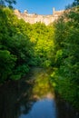 Natural Tuscan landscape with a river in the wood, at early morning in June 2019, Italy