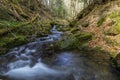 June 25, 2021 Shypit waterfall and its surroundings are a popular tourist attraction in Transcarpathia, Ukraine. Royalty Free Stock Photo