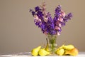 June Summer Still Life Royalty Free Stock Photo