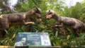 15 June 2019, Taman Legenda, TMII, East Jakarta, Indonesia, Robot of Pachycephalosaurus, Herbivore dinosaur, from north america