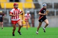 All Ireland Senior Camogie Championship between county Cork and county Down.