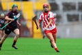 All Ireland Senior Camogie Championship between county Cork and county Down.