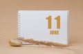 june 11. 11th day of the month, calendar date.White blank sheet of notepad, stones, dry sprig of grass, on beige