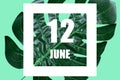 june 12th. Day 12 of month,Date text in white frame against tropical monstera leaf on green background summer month, day