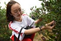 The flowers and fruits of China`s rural areas are fragrant, attracting many urban residents to the countryside for holiday travel. Royalty Free Stock Photo