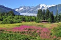 Juneau,capital of Alaska Royalty Free Stock Photo