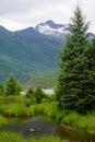 Juneau, Alaska: Marshland and snow-capped mountains on Mendenhall Lake Royalty Free Stock Photo