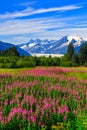 Juneau, Alaska. Royalty Free Stock Photo