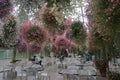 Juneau, Alaska: Tourists relaxing under the hanging flowered plants at Glacier Gardens