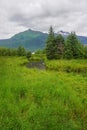 Juneau, Alaska, USA: Marshland and snow-capped mountains on Mendenhall Lake Royalty Free Stock Photo