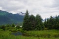 Juneau, Alaska, USA: Marshland and snow-capped mountains on Mendenhall Lake Royalty Free Stock Photo