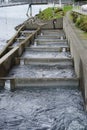 Juneau, Alaska, USA: Salmon fish ladder at the Macaulay Salmon Hatchery Royalty Free Stock Photo