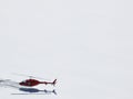 Jungfrau, Switzerland. Red helicopter on high mountain snow