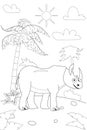 Jungle, Africa safari animal camel coloring book edicational illustration for children. Vector white black cartoon Royalty Free Stock Photo