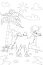 Jungle, Africa safari animal Camel coloring book edicational illustration for children. Vector white black cartoon Royalty Free Stock Photo