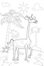 Jungle, Africa safari animal Giraffe coloring book edicational illustration for children. Vector white black cartoon