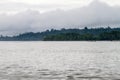 Jungle along river Napo Royalty Free Stock Photo