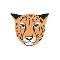 Jungle animal portrait cheetah head face