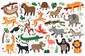 Jungle animals bungle, tropical leopard, felines, dancing giraffe and zebra, sleeping jaguar, set of vector