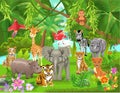 Jungle animals Royalty Free Stock Photo