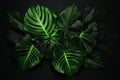 jungle art background forest green tropical colourful nature leaf palm tree. Generative AI.