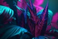 tropical jungle plant purple exotic night art neon leaf background foliage. Generative AI.