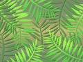 Jungle background (01)