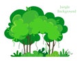 Tropical trees, jungle in cartoon style. Vector illustration of a forest landscape on a white background