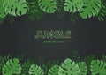 Jungle background. Tropic palm leaves, branches on a black background. Green monstera leaf. Text space.