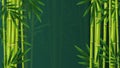Jungle Bamboo Tropical Background
