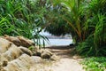 Jungle beach view from Sri Lanka