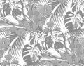 Jungle. Black andwhite leaves of tropical palm trees, monstera, agaves and orchids. Drops of dew, rain. Seamless