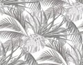 Jungle. Black and white background with leaves of tropical palm trees, monsters, agave. Seamless. Isolated on white