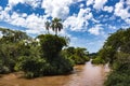 Brazilian tropical landscape Royalty Free Stock Photo