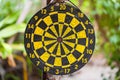 Jungle bullseye Royalty Free Stock Photo