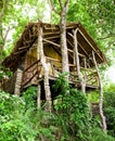 Jungle bungalow in Phi Phi island