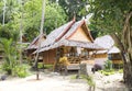 Jungle bungalow in Phi Phi island