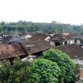 Jungle city Indonesia