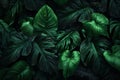 jungle colourful background palm green nature leaf tropical close-up forest tree. Generative AI.