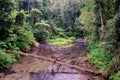 Jungle creek Royalty Free Stock Photo